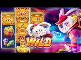 horario pagante rabbit